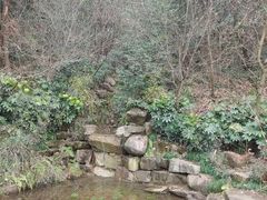 -杭州半山国家森林公园