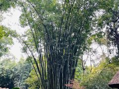 -成都杜甫草堂博物馆