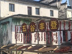 -婺源月亮湾