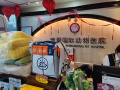 -宠爱国际动物医院·消化内科·心肾内科·ISFM猫友好(望京店)