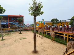 -西霞口神雕山野生动物世界