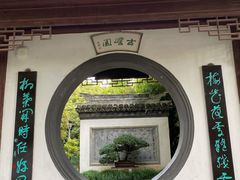 -水绘园