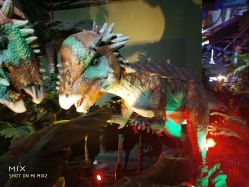 -恐龙探索乐园(磁器口店)