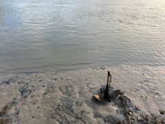 -蒂蒂香達濠魚丸