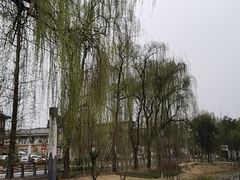 -三圣花乡旅游区