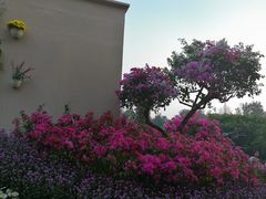 -广州雕塑公园