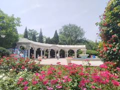 -睦南公园