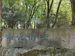 -鲁镇