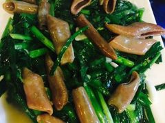前海沿儿-鲁前海沿儿