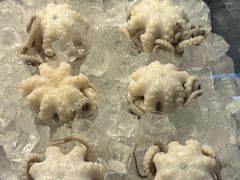 -铭聚章鱼土笋冻(松柏店)