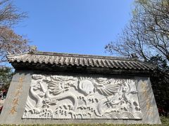 -桃花堤公园