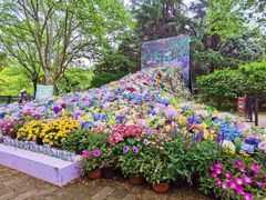 -上海共青森林公园