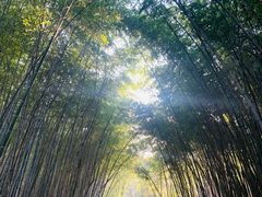 -穹窿山景区