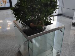 -学习谷日语培训日本留学·多语种外语教学(海淀人大分部)