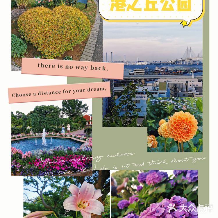 📍中华街|探店合集来啦