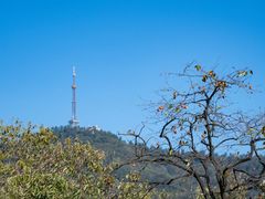 -敬亭山风景名胜区