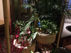 -梅间堂茶馆(绿地缤纷城店)