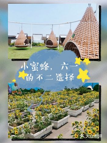 上海小蜜蜂，六一的不二选择