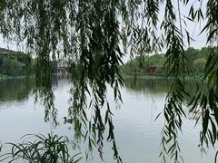 -上海怡沁园度假酒店