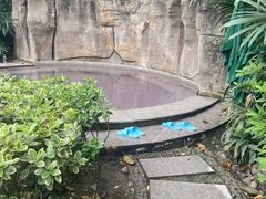 -天赐温泉
