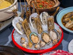 -金龙·打边炉(南京西路店)