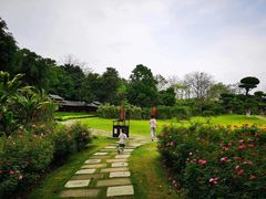 -南宁南湖公园
