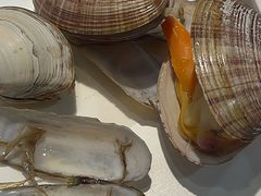 -海味当家·蒸锅海鲜(星海公园店)