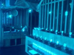 -陈阿婆重庆绿色鱼火锅