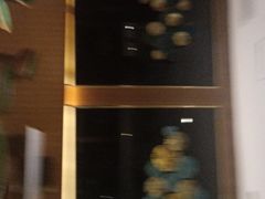 -畅想汤泉生活(民治店)