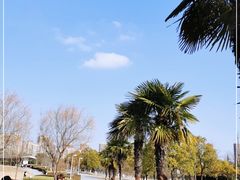 -白塘生态植物园