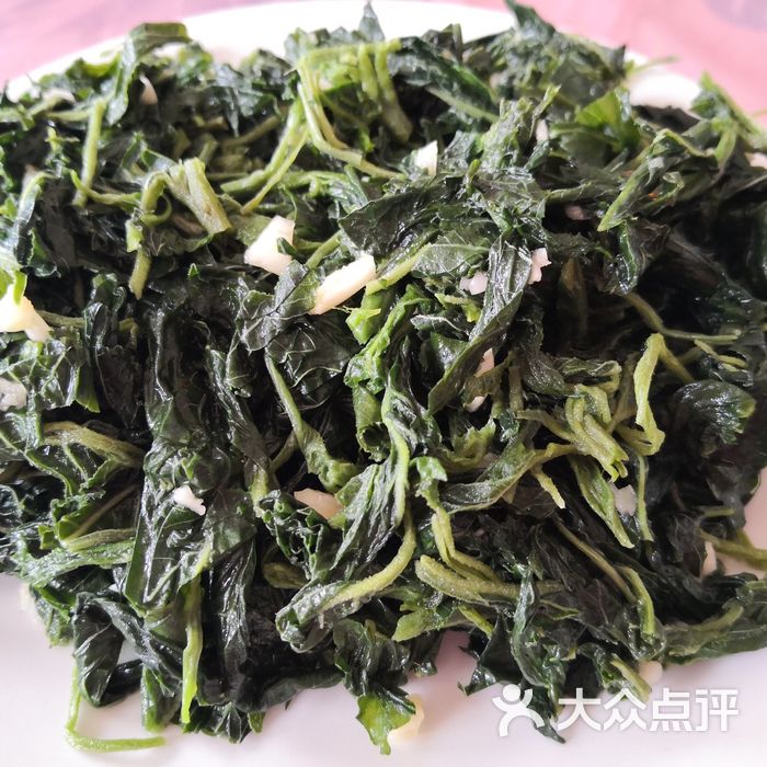 斋堂朋多农家客栈餐厅凉拌人情菜图片-北京农家菜-大众点评网