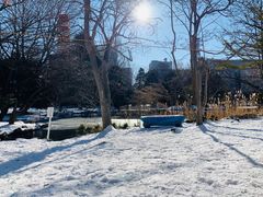 -北海道厅旧本厅舍(旧本庁舎)