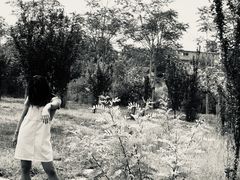 -天津东丽湖风景区