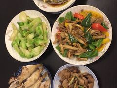 -田螺阿姨自营月嫂·育儿嫂(高新店)