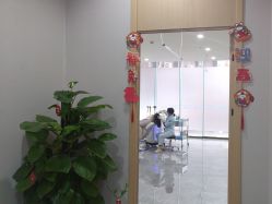 -碧莲盛·不剃发植发