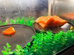 -西藏饭店·亚克·食光自助餐厅