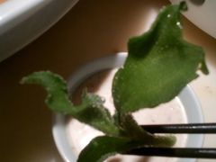 -弄堂里(西溪龙湖天街店)
