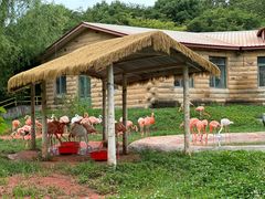 -哈尔滨北方森林动物园