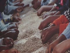 -68度C COFFEE(丞相府店)