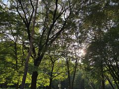 -黑龙江省森林植物园