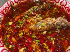 -欧记大排档·景德菜(上海首店)