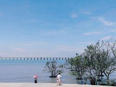 -宝安西湾红树林湿地公园