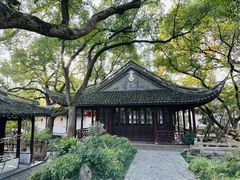 -上海醉白池公园