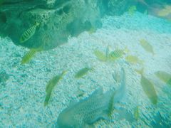 -波塞冬旅游度假区