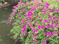 -中国观音故里广德景区