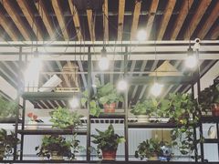 -三猫黑鱼花(南大店)