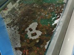 -兄弟爬爬虾(北京路店)