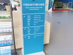 -盐城丹顶鹤湿地生态旅游区