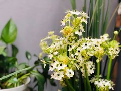-100家灵感仓库·DIY团建(什刹海店)