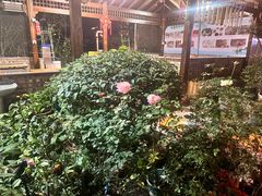 -杨厝六十六农庄农舍(杨厝路店)